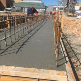 1-Rodri-Civil-Construction-Vales Point Substation