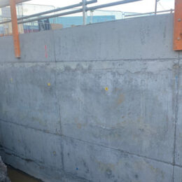 5-Rodri-Civil-Constructions-Sydenham Station